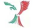 Air Italy logo